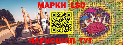 крисы Аргун