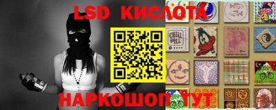 крисы Аргун
