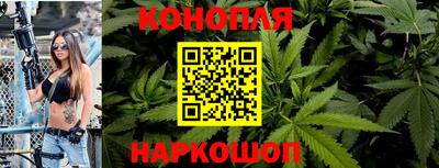 крисы Аргун