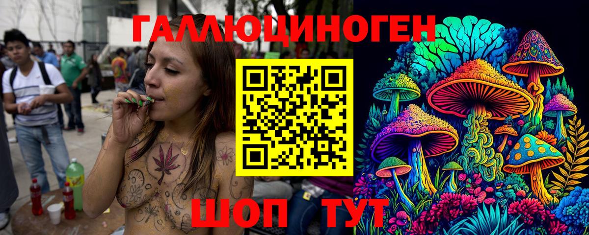 Псилоцибиновые грибы Psilocybe  Вход с VPN  хочу   Выкса 
